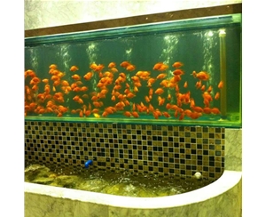 觀賞魚(yú)缸